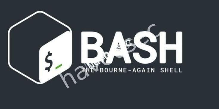 Mastering Bash Scripting: From Zero to Automation Hero