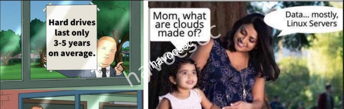 Your Brain on Memes: The Science Behind Why We Love Internet Humor