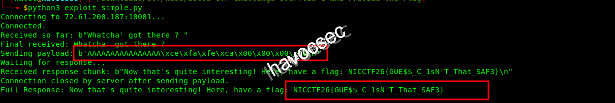the-flag-with-the-payload