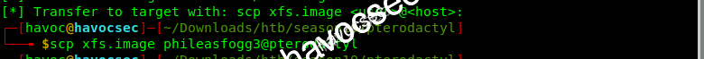 transfer-the-image